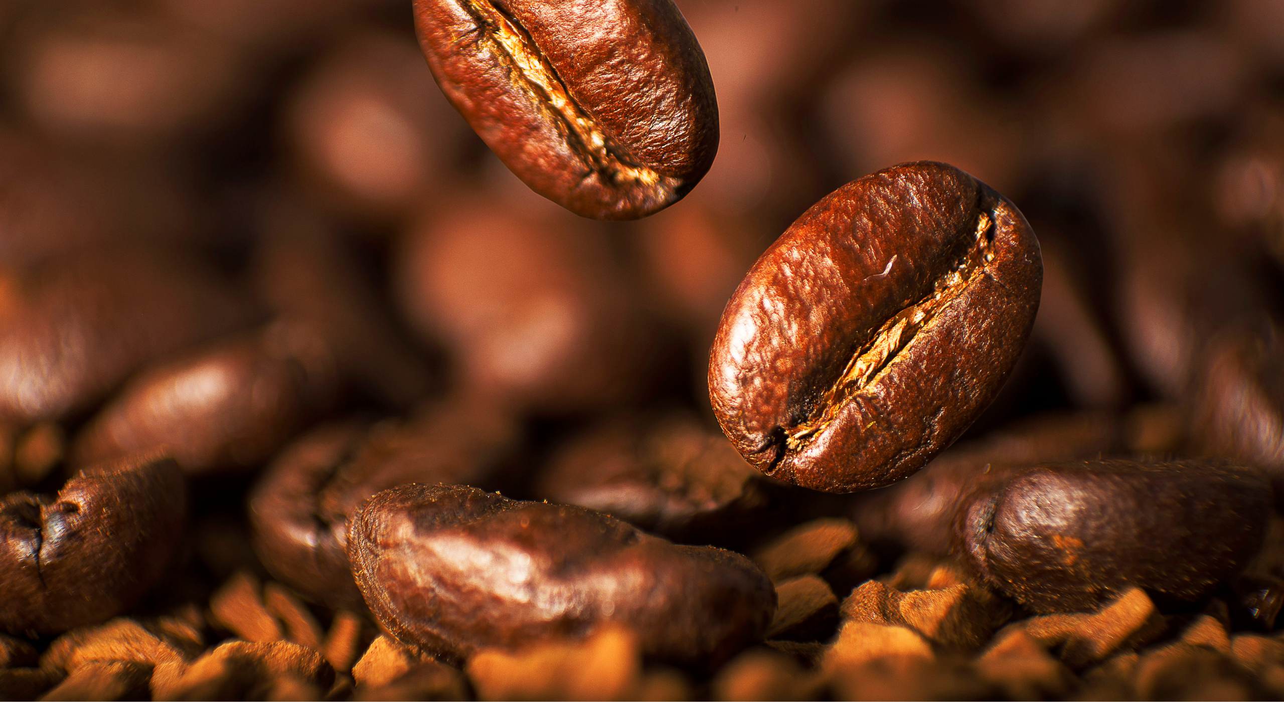 come diventare torrefattore