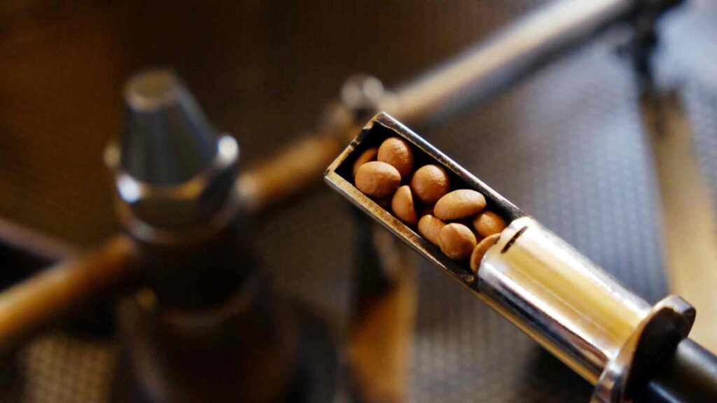 5 errori più comuni nella torrefazione e come evitarli