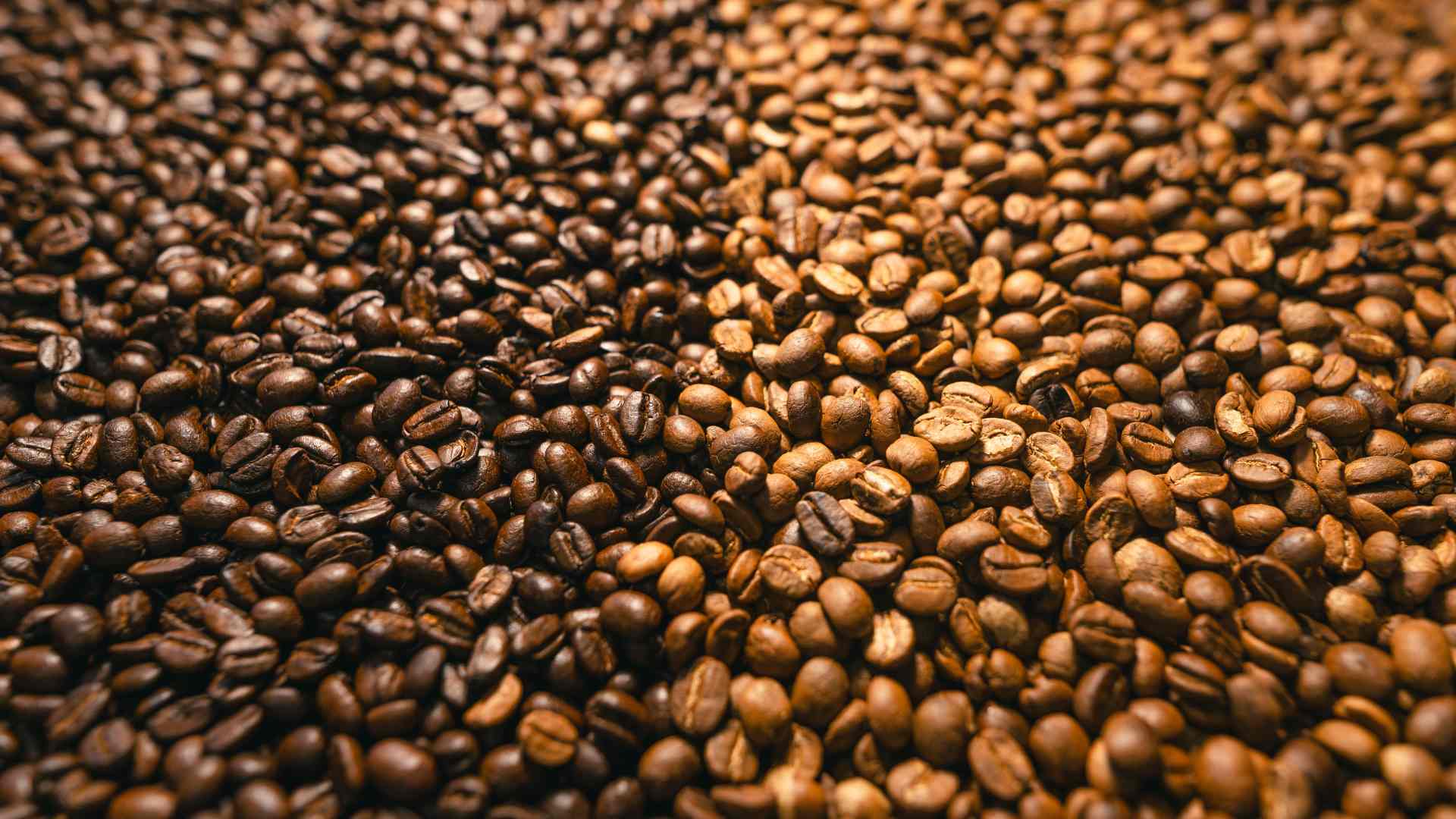 Come scegliere la formazione per torrefattori giusta per te