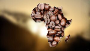 caffè africani